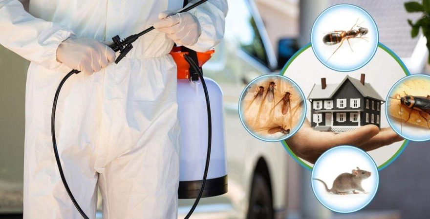 Akdeniz Böcek İlaçlama