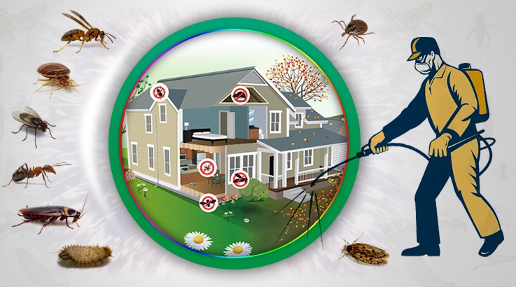 Akdeniz Böcek İlaçlama