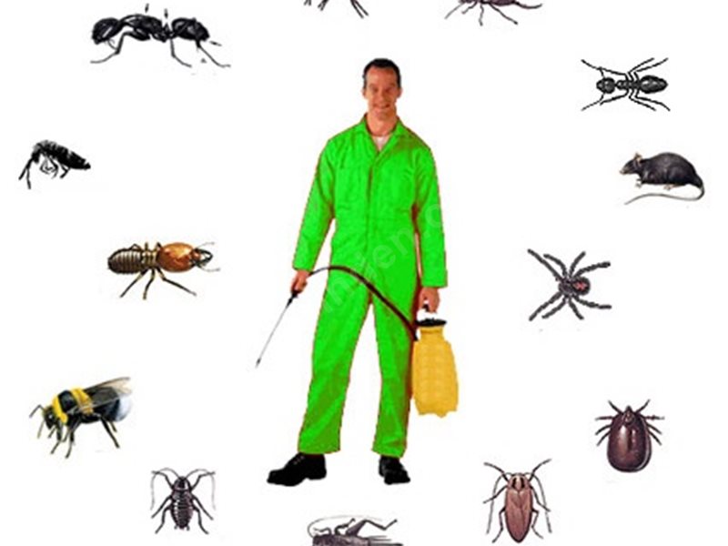 Akdeniz Böcek İlaçlama